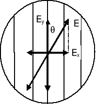 0x08 graphic