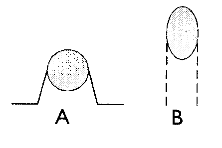 0x08 graphic