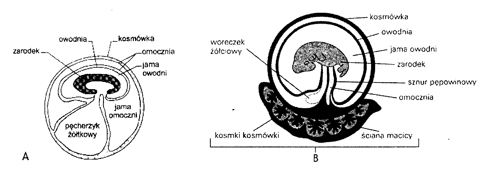 0x08 graphic