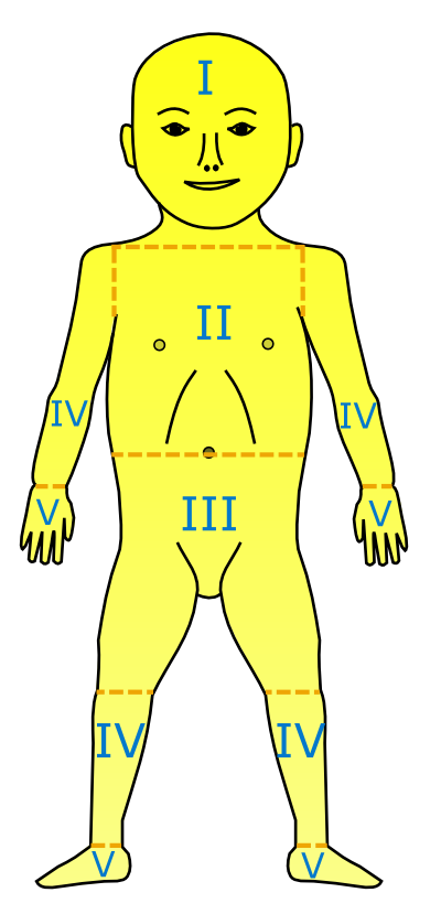 0x08 graphic