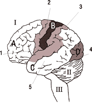 0x08 graphic