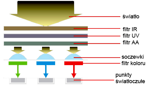 0x08 graphic