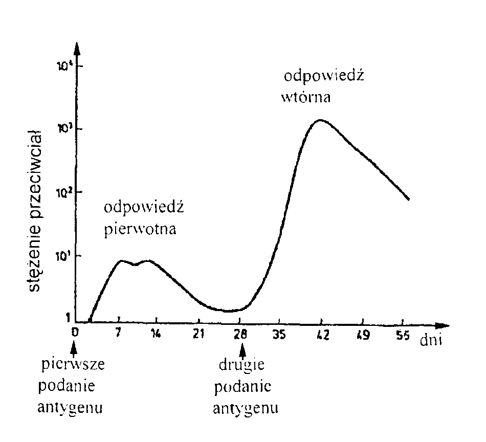 0x08 graphic