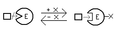 0x08 graphic