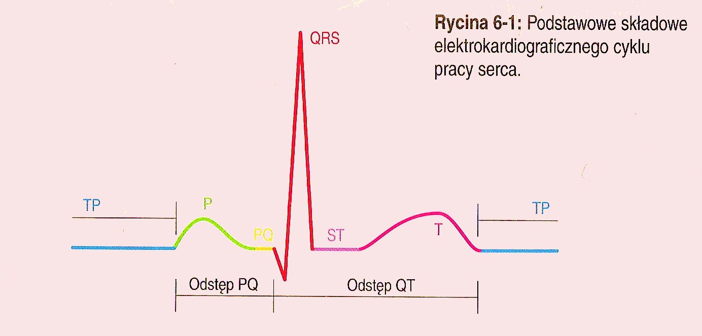 0x08 graphic