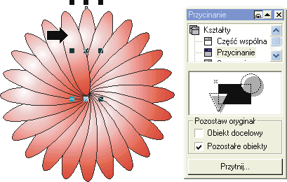 0x08 graphic