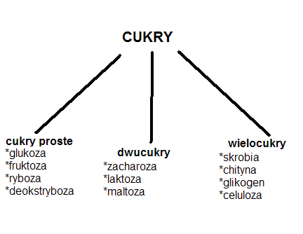 0x08 graphic