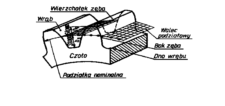 0x08 graphic