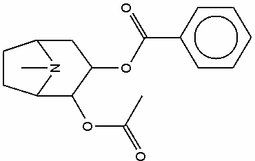 0x08 graphic