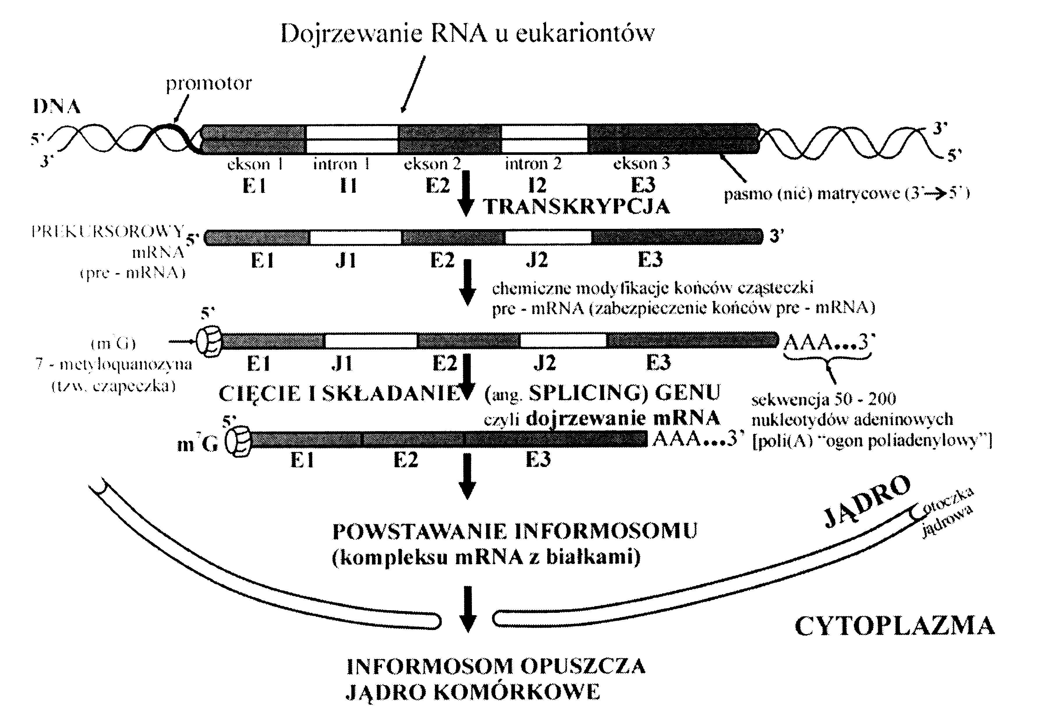 0x08 graphic