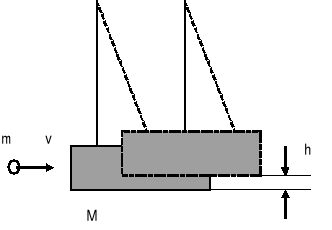0x08 graphic