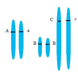 0x08 graphic