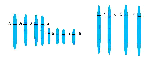 0x08 graphic