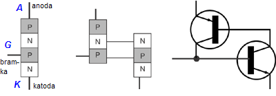 0x08 graphic