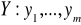 0x01 graphic