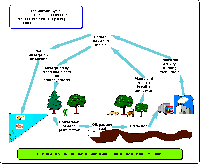 0x08 graphic