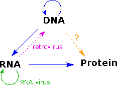 0x08 graphic