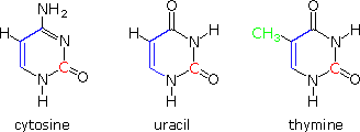 0x08 graphic