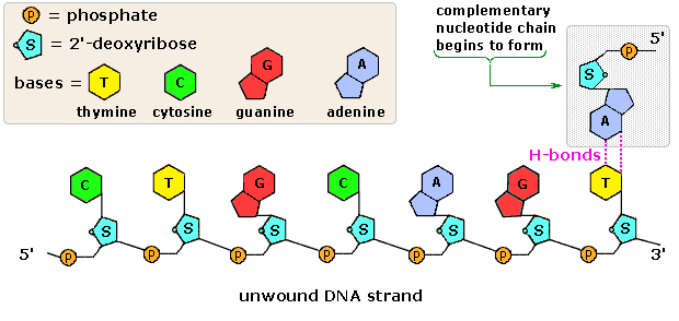 0x08 graphic