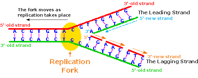 0x08 graphic