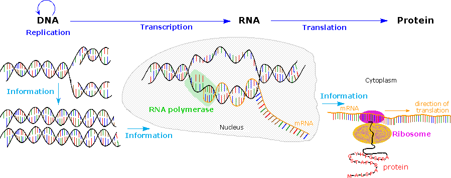 0x08 graphic