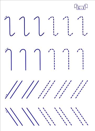 0x08 graphic