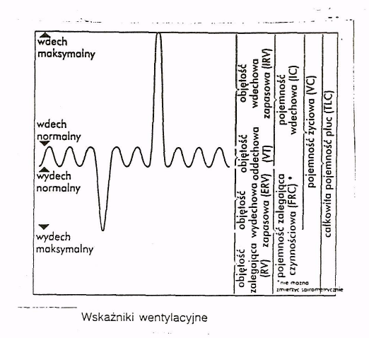 0x08 graphic