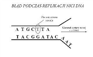 0x08 graphic