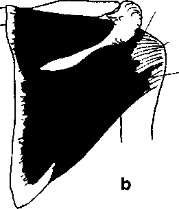 0x08 graphic