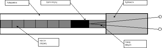 0x08 graphic