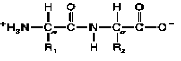 0x08 graphic