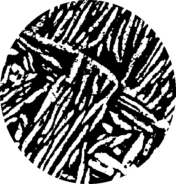 0x08 graphic