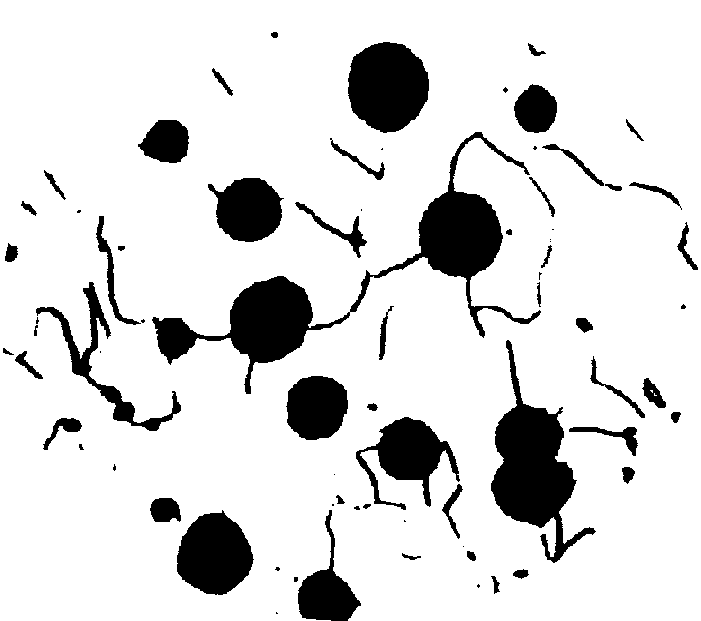 0x08 graphic