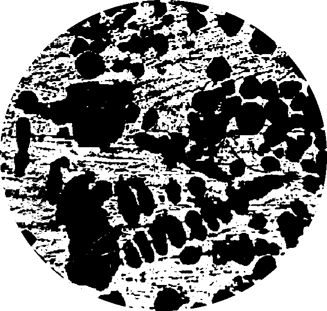 0x08 graphic