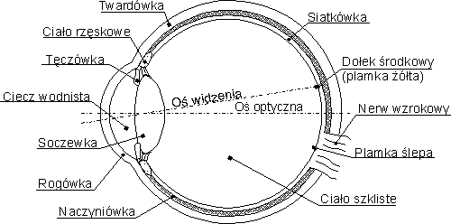 0x08 graphic