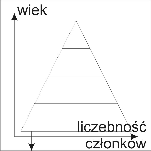 0x08 graphic