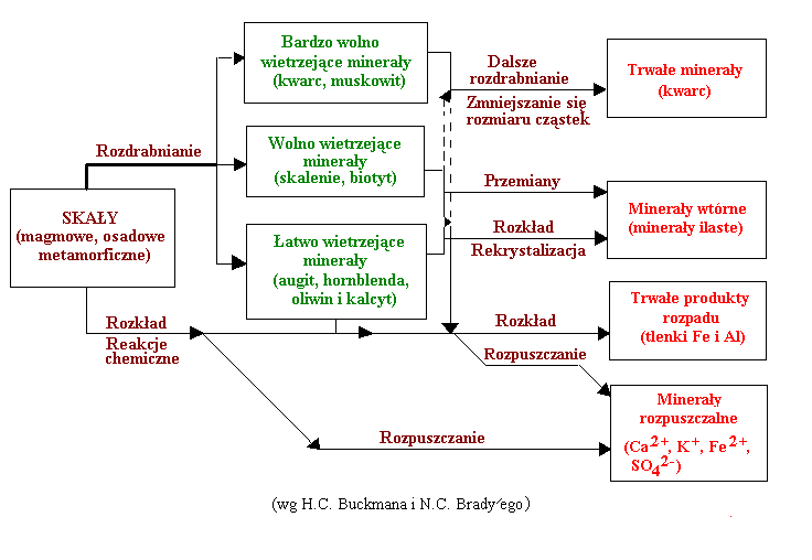 0x08 graphic