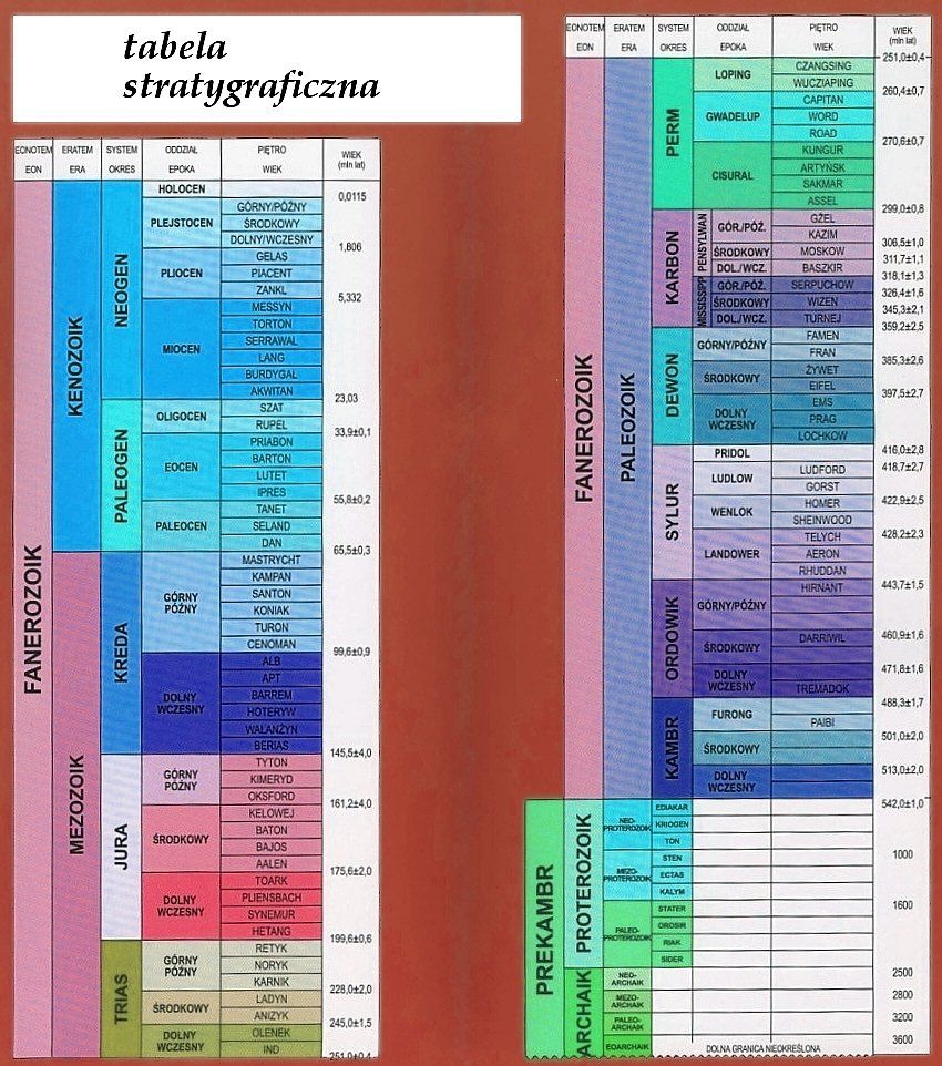 0x08 graphic