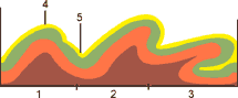 0x08 graphic