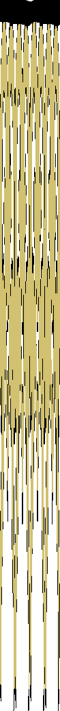 0x08 graphic