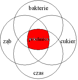 0x08 graphic