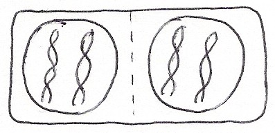 0x08 graphic