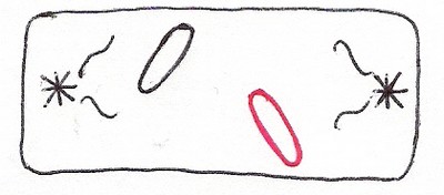 0x08 graphic