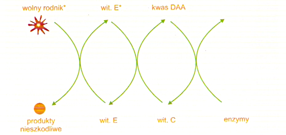 0x08 graphic