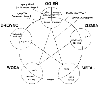 0x08 graphic