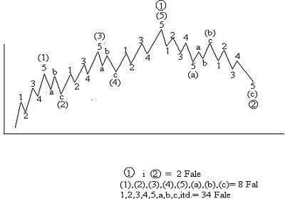 0x08 graphic