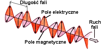 0x08 graphic