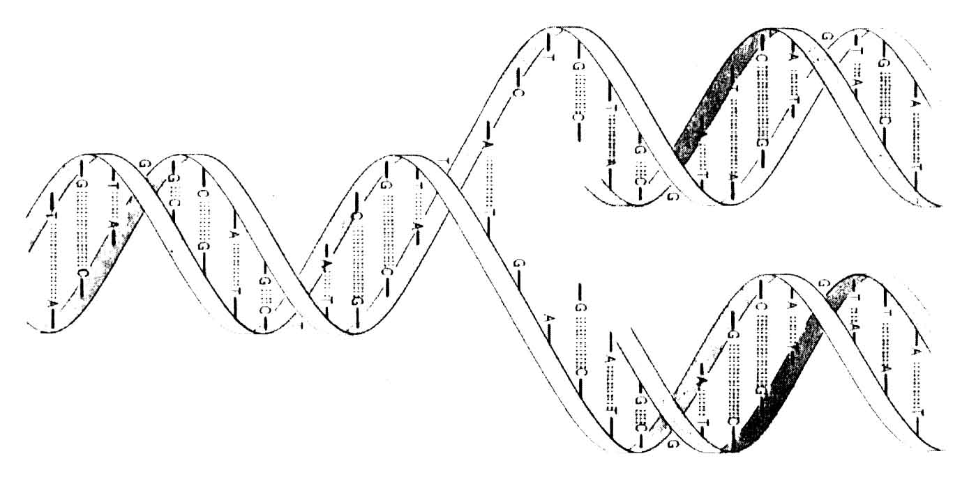 0x08 graphic