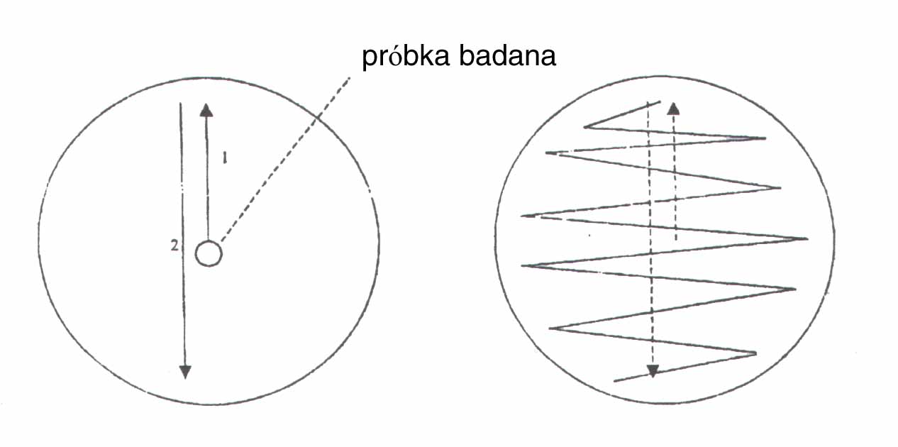0x08 graphic