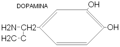 0x08 graphic